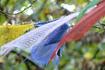 Flying Flags