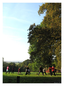 Tai Chi Out on the Lawn