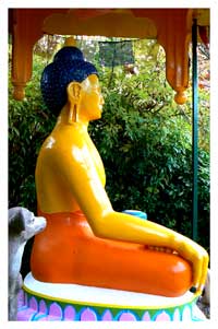 Yellow Buddha